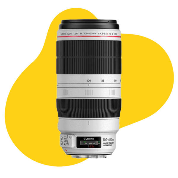 Canon RF 100-500mm f/4.5-7.1L IS USM