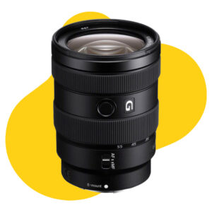 Sony E 16-55mm f/2.8 G APS-C