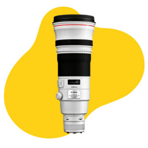 Canon EF 500mm f/4.0L IS II USM