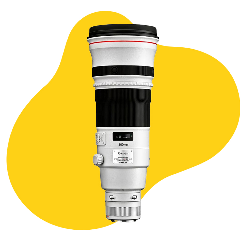 Canon EF 500mm f/4.0L IS II USM